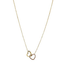 Αλυσίδα λαιμού με καρδιές DJ-100